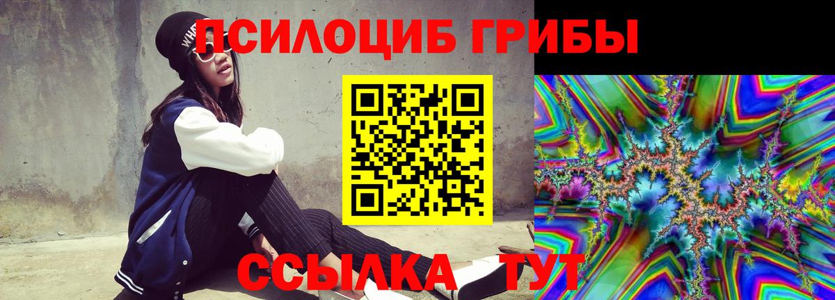 Псилоцибиновые грибы ЛСД Геленджик