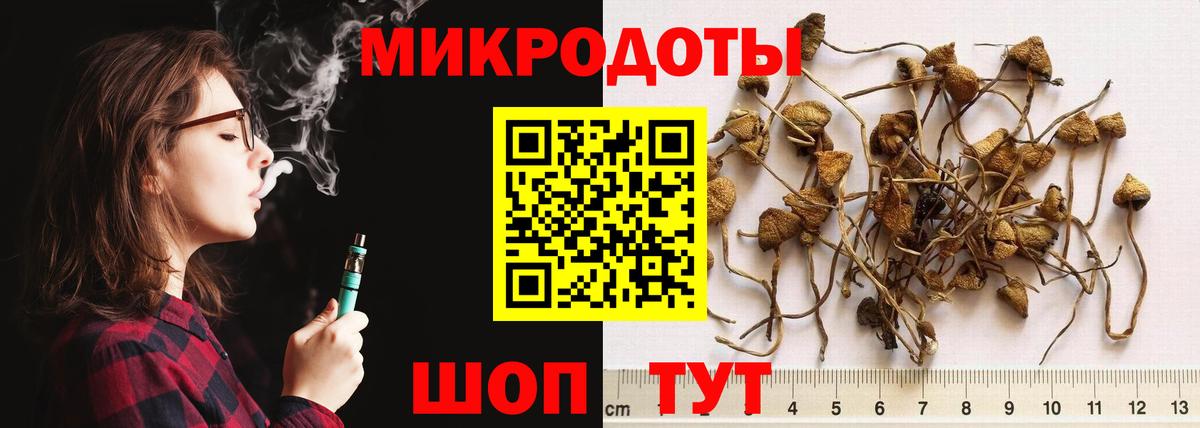 Псилоцибиновые грибы MAGIC MUSHROOMS  Галлюциногенные грибы GOLDEN TEACHER  Вход с VPN  Геленджик 